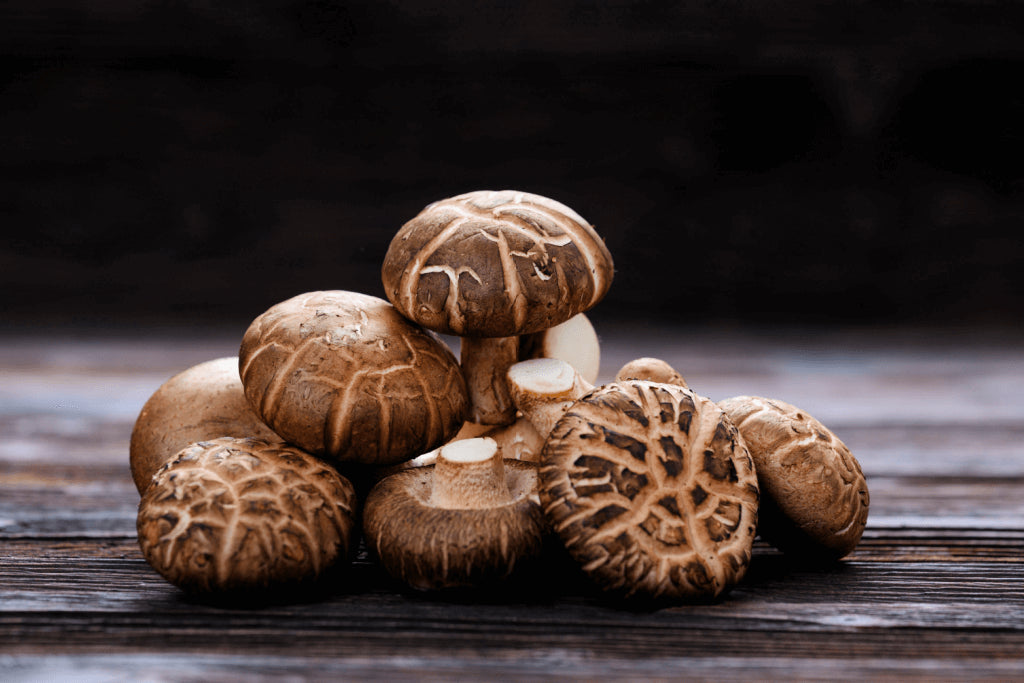 Shiitake for heart health (2 month supply)
