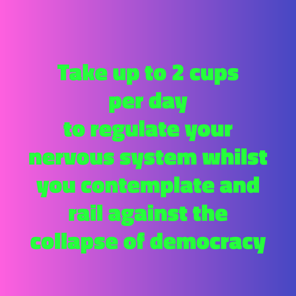 F**K THE SYSTEM ADAPTOGENIC-MUSHROOM MICRODOSING 10 CHOCOLATE CUPS