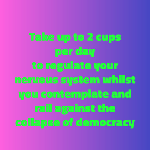 F**K THE SYSTEM ADAPTOGENIC-MUSHROOM MICRODOSING 10 CHOCOLATE CUPS